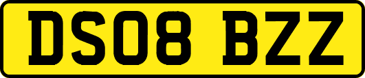 DS08BZZ