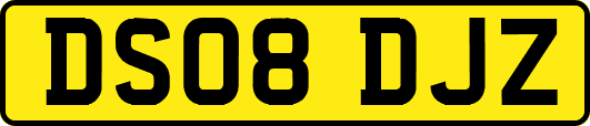 DS08DJZ