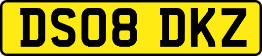 DS08DKZ