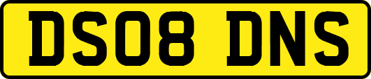 DS08DNS