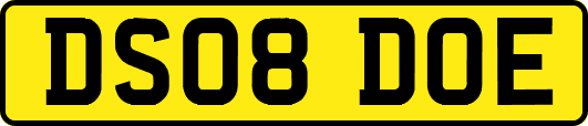 DS08DOE