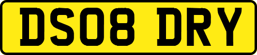 DS08DRY