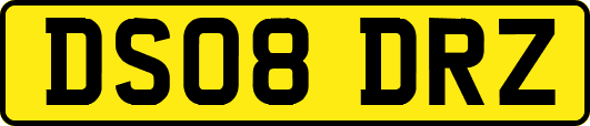 DS08DRZ