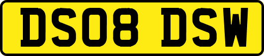 DS08DSW