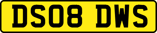 DS08DWS