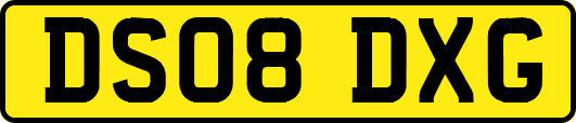 DS08DXG