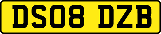 DS08DZB