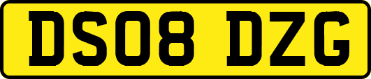 DS08DZG