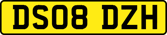 DS08DZH