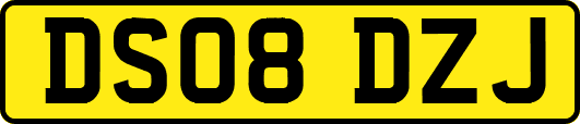 DS08DZJ