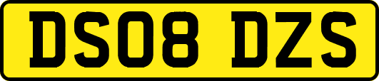 DS08DZS