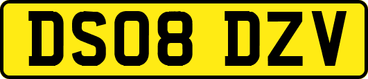 DS08DZV