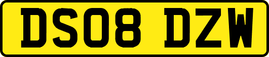 DS08DZW