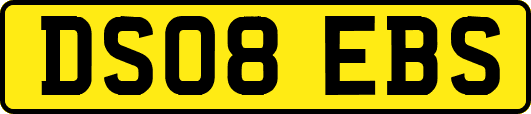 DS08EBS