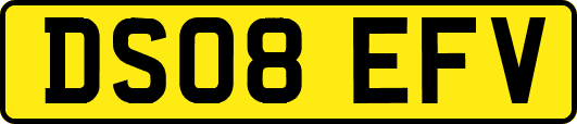 DS08EFV