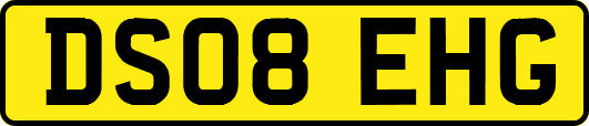 DS08EHG