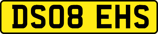 DS08EHS
