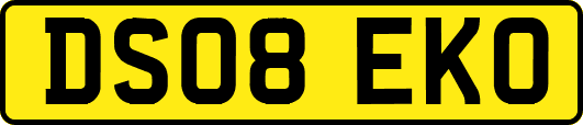 DS08EKO