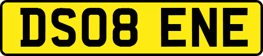 DS08ENE