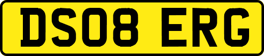 DS08ERG