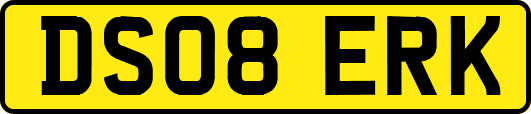 DS08ERK