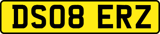 DS08ERZ