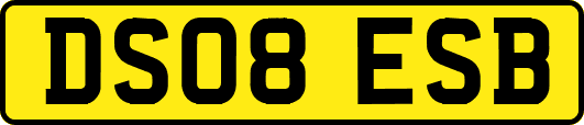 DS08ESB