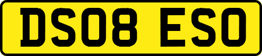 DS08ESO
