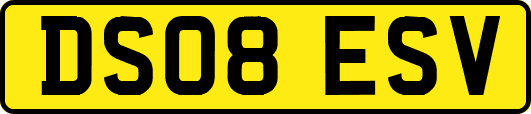 DS08ESV