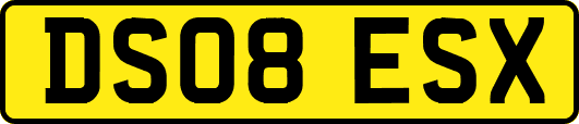 DS08ESX