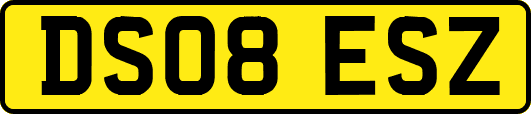 DS08ESZ