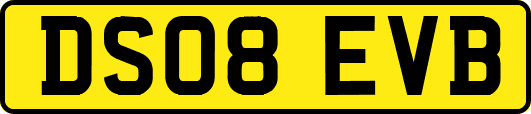 DS08EVB