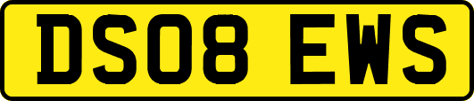 DS08EWS