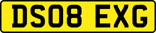 DS08EXG