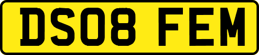DS08FEM