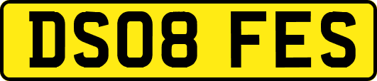 DS08FES
