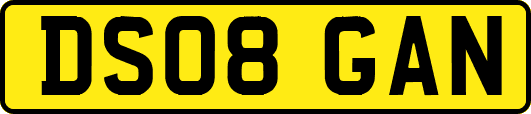DS08GAN