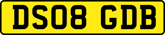 DS08GDB