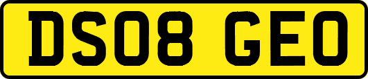 DS08GEO