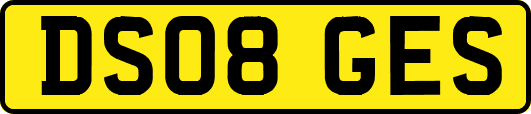 DS08GES