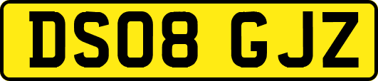 DS08GJZ