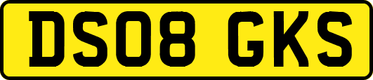 DS08GKS