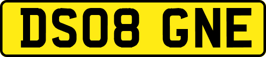 DS08GNE