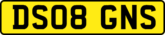 DS08GNS