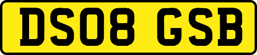 DS08GSB