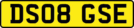 DS08GSE