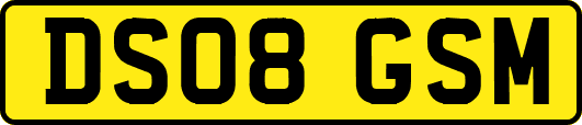 DS08GSM
