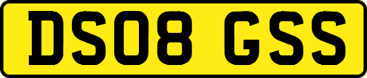 DS08GSS