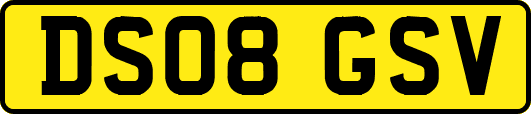 DS08GSV
