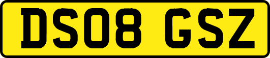 DS08GSZ